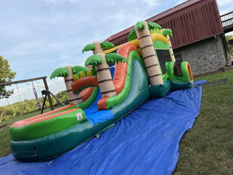 slide-inflatable-rental-8